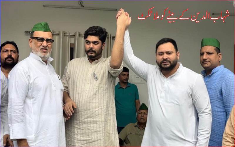 شہاب الدین کے بیٹے ،اسامہ کو   اس سیٹ سے ملا ٹکٹ ،جانیے اسامہ شہاب کااب تک کا سفر؟